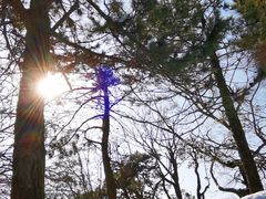 -武当山风景区