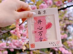 -鸡鸣寺