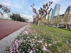 -东港音乐喷泉广场