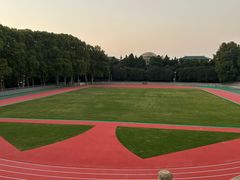 -武汉大学-樱园