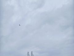 -武昌江滩