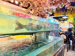 -特色酱椒鱼私房菜(黄鹤楼店)