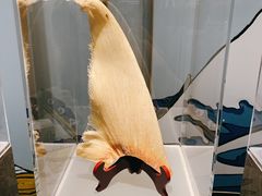 -广舟(千禧店)