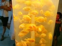 -苏州海洋馆