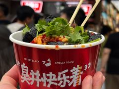 -黑色经典臭豆腐·湖南特产(步行街店)