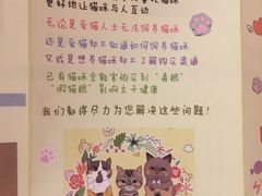 -三花喵·撸猫购宠·宠物生活馆(虹桥南丰城店)