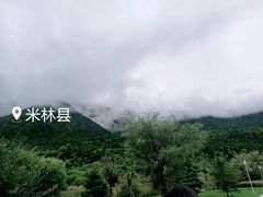 -林芝工布庄园希尔顿酒店-猎味中餐厅