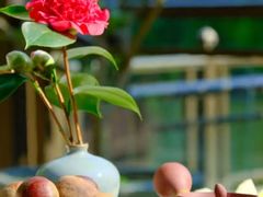 -茅庐·川粤精品私房菜(金沙遗址店)