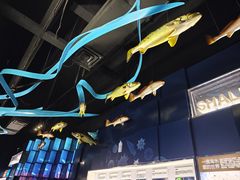 -同济大学四平路校区深海探索馆