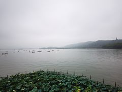 -湖畔居茶楼(湖滨店)