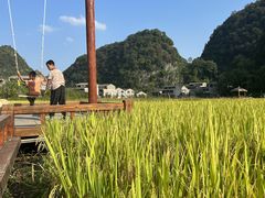 -高荡千年布依古寨旅游景区