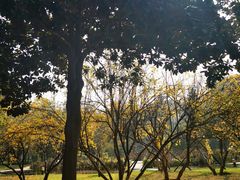 -河南省黄河迎宾馆