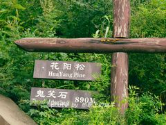 -北京西山国家森林公园