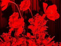 -交通银行前滩31演艺中心