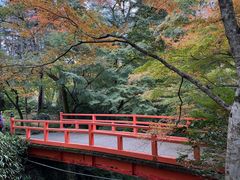 -三千院