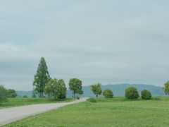 -良渚古城遗址公园