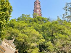 -顺峰山公园
