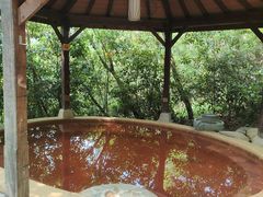 -天目湖涵田半山温泉