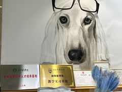 -美联众合动物医院·24h转诊中心