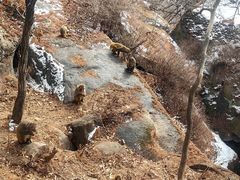 -崂山巨峰游览区