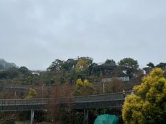 -福道