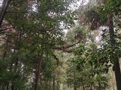 -狼山风景名胜区