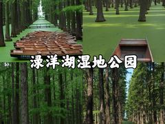 -渌洋湖湿地公园