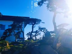 -罗红摄影艺术馆