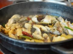 鲜花椒焗鱼-国家五钻酒家·西樵旺阁渔村(西樵店)