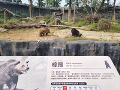 -武汉动物园