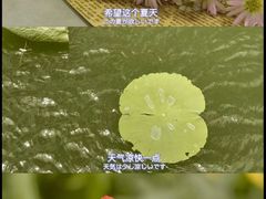 -芭夯兔(人和店)