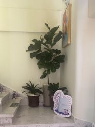 -海涛医疗美容·面部抗衰·注射美鼻