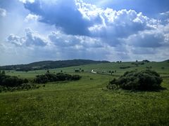 -御道口草原森林风景区