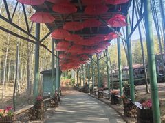 -陶祖圣境风景区