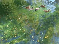 -水磨沟公园