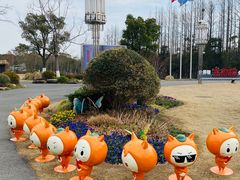 -上海长兴岛郊野公园