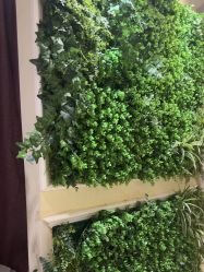 点击看大图 -香秀空间科技抗衰·美容中心