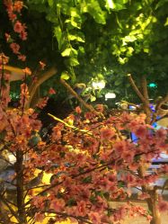 -酷嗒动物文化乐园(cutezoo西溪乐天城店)