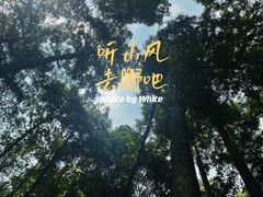 -凤栖山