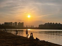 -天鹅湖体育公园