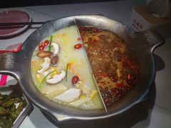 -九鼎轩脆毛肚火锅(三钢里店)