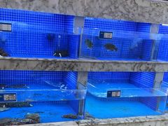 -香山湖渔家大院