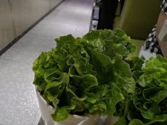-古乐牛香·鲜牛肉牛杂火锅(新区店)