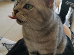 -平行世界·猫咖(首经贸店)