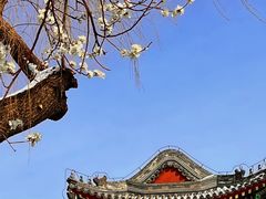 -颐和园-景明楼