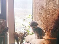 -安徒生活·DIY手工坊