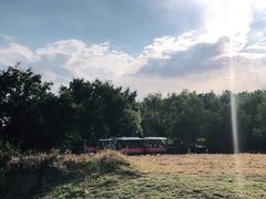 -北京张裕爱斐堡酒庄