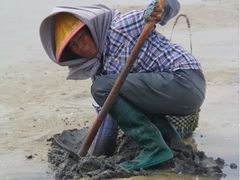 -北海金海湾红树林生态旅游区