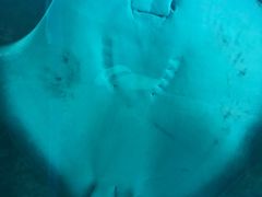 -新加坡海洋生态馆