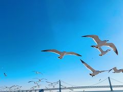 -星海广场